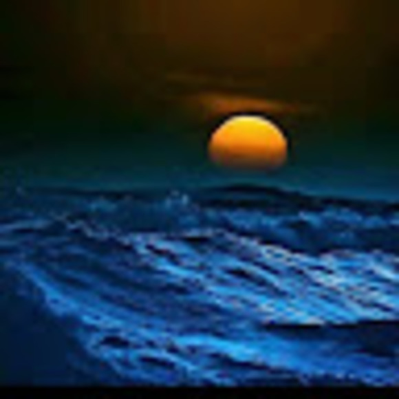 Meet your Posher, Shannon - Picture 1 of 1